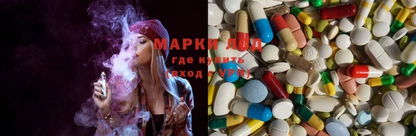 PSILOCYBIN Елабуга