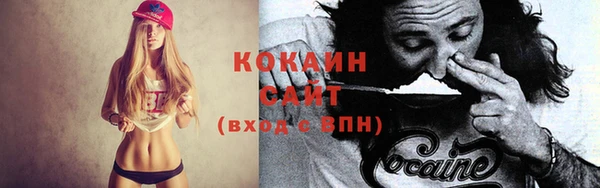 прущие крисы Ельня