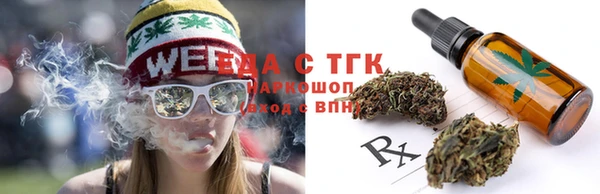 прущие крисы Ельня