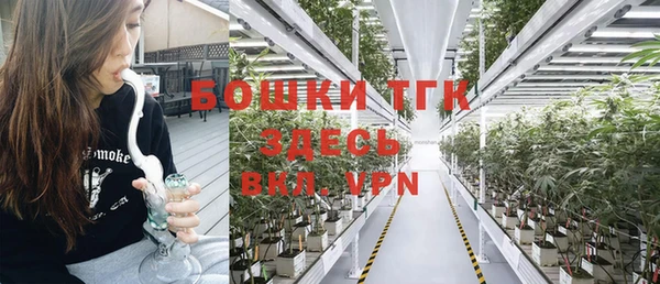 прущие крисы Ельня