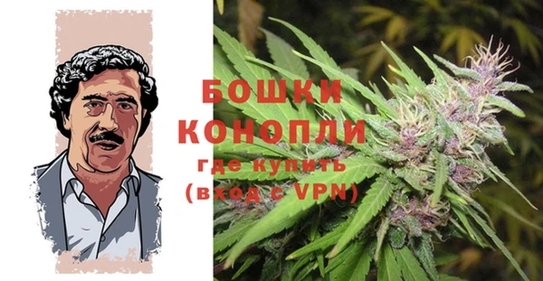 PSILOCYBIN Елабуга