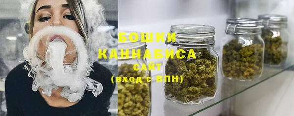 PSILOCYBIN Елабуга