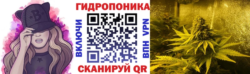 Шишки марихуана гибрид  Купить закладки  Вятские Поляны 